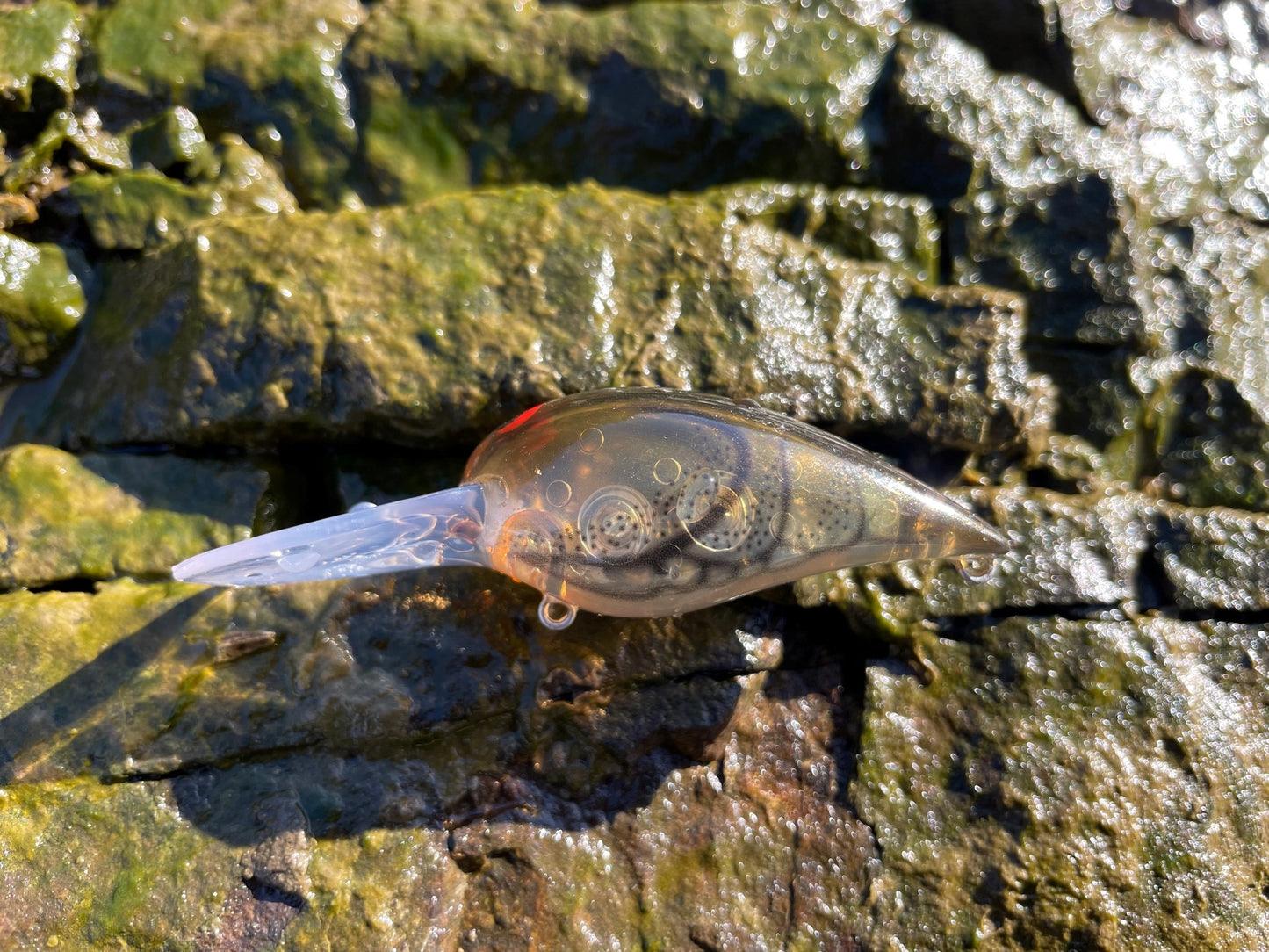 W3 CRANKBAIT #06 Phantom Brown Claw