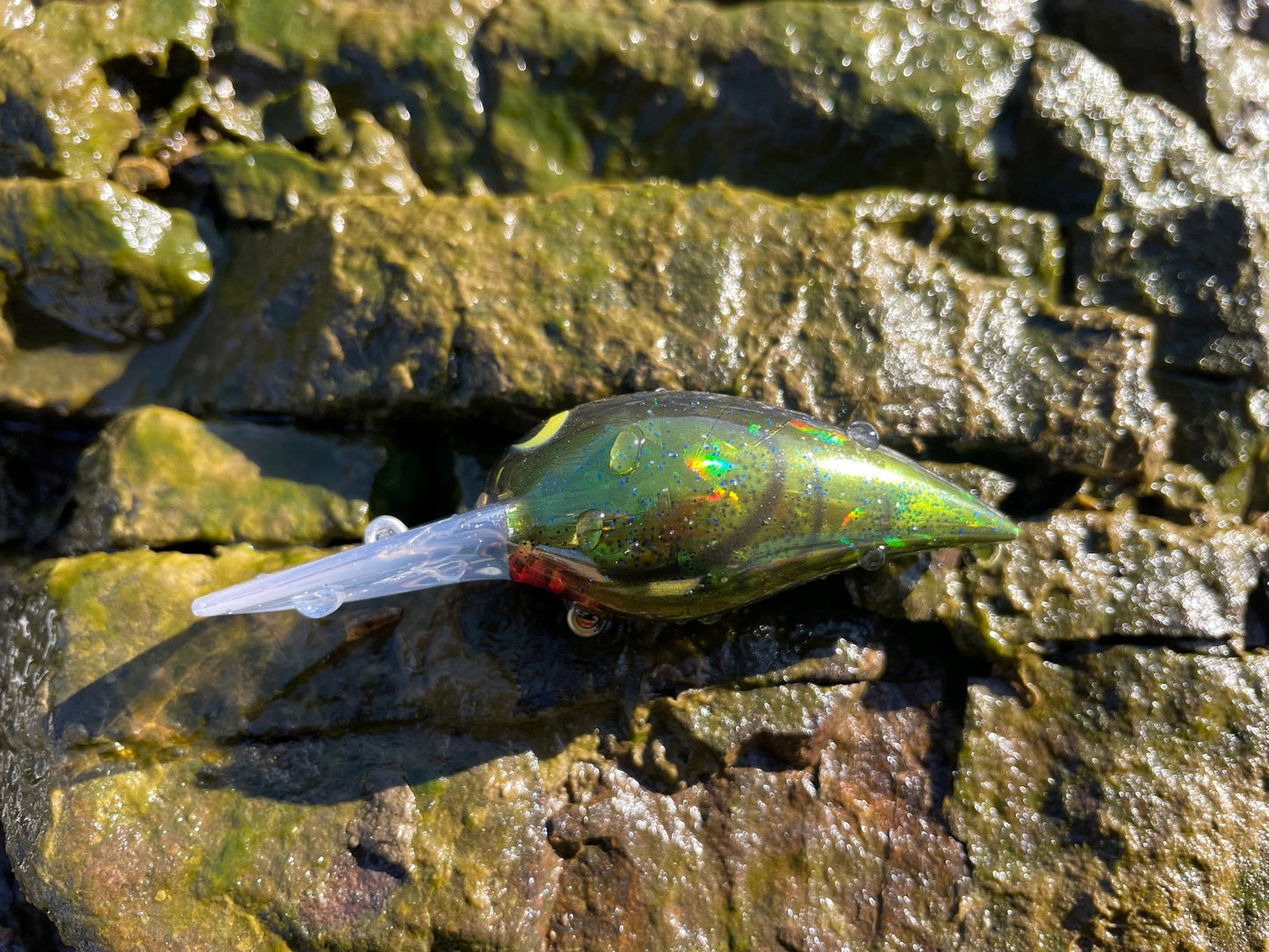 W3 CRANKBAIT #07 Moebikuro