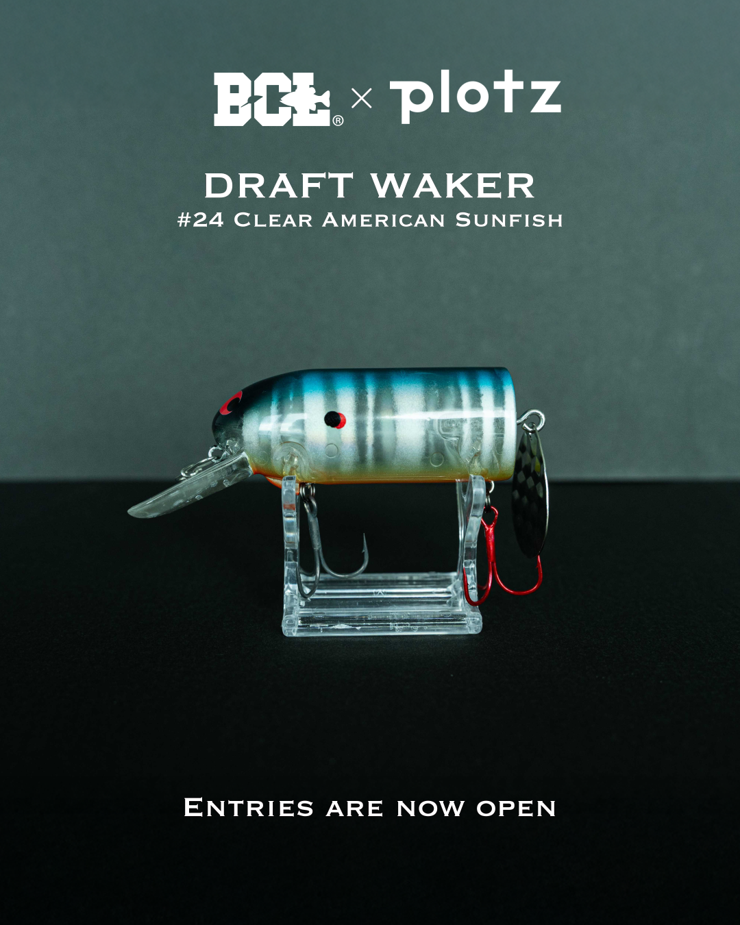 【抽選当選者専用ページ】DRAFT WAKER  #24  Clear American Sunfish