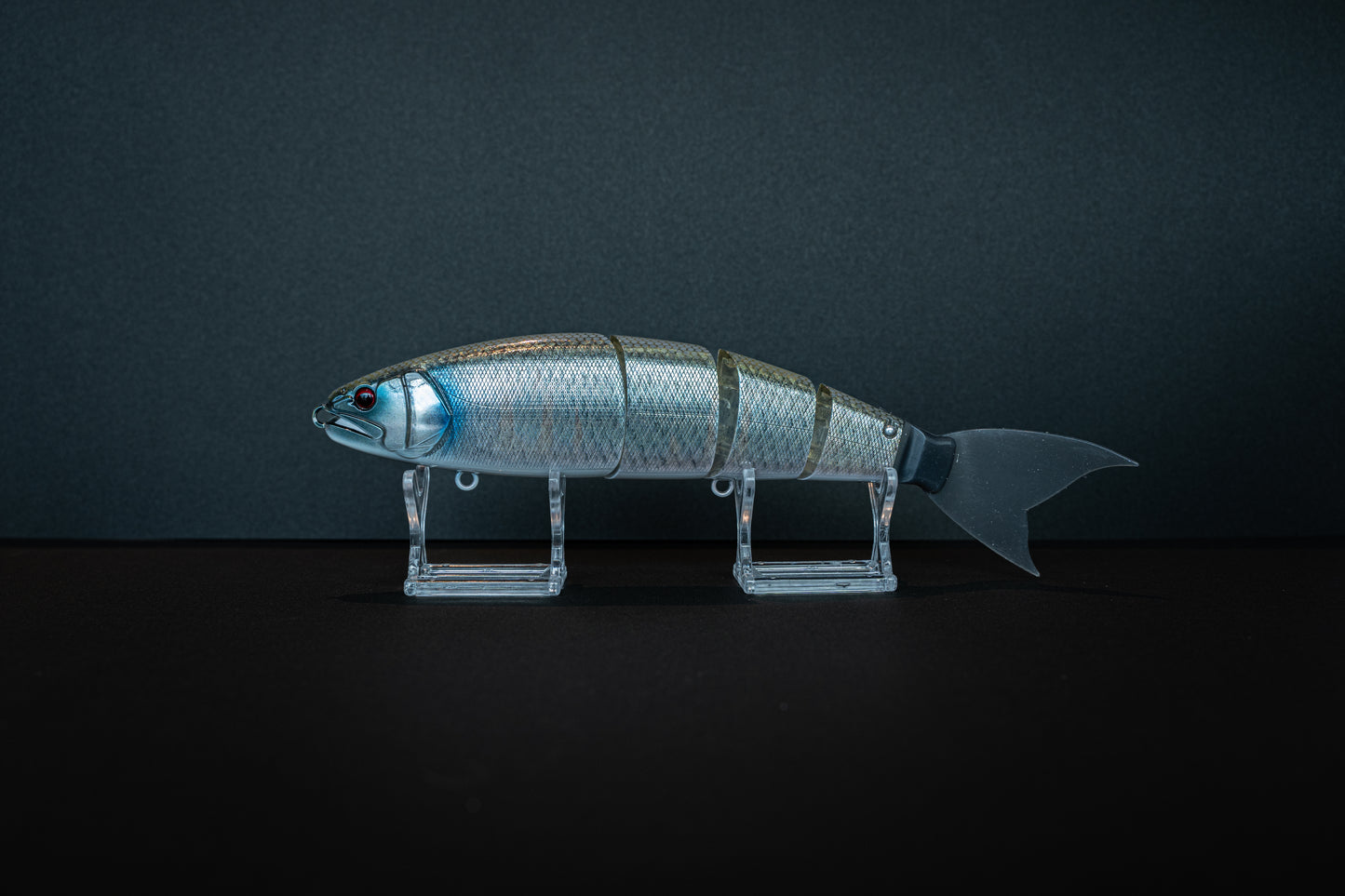 BALAM245 SAGAMI OIKAWA